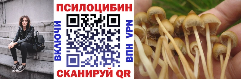 Псилоцибиновые грибы ЛСД  Монино 