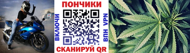 где купить наркоту Монино МАРИХУАНА сатива